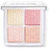 Dior Backstage Glow Face Palette 004 rose gold