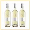 marche in italy 3x vino Pecorino Offida Villa Angela DOCG, 0,75 lt, Cantina Velenosi, Ascoli Piceno, Italy, prodotto tipico marchigiano, Italia