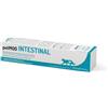 CHEMI-VIT Srl petMOD® INTESTINAL pasta - 15 g
