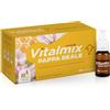 Vitalmix Pappa Reale Integratore Energetico 10 Flaconcini