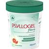 Psyllogel Fibra Integratore Intestinale Gusto Arancia Rossa 170 g