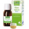 Boiron Ribes Nigrum Gemme Macerato Glicerico 60 ml