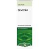 Erba Vita Olio Essenziale Zenzero Integratore Digestivo 10 ml