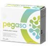 Pegaso AxiBoulardi Junior Integratore Flora Intestinale 14 Bustine