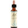 Fiori di bach Schwabe Fiori di Bach 08 Chicory Gocce 20 ml