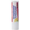 Boiron Dermoplasmine Stick Labbra Alla Calendula Per Labbra Secche e Sensibili 4 g