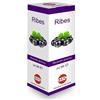 Efarma Kos Ribes Nigrum Macerato Glicerico Gocce 100 ml