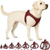 Flamingo Step-Go Bento Pettorina - Melanzana, XL (A:40-43 cm, B:49-54 cm, 3 mm), Comoda e Regolabile, Ideale per Border Collie, Australian Shepherd, Springer Spaniel, Staffordshire Bull Terrier ecc.