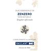 I.m.o VAILLANT OE ZENZERO 10ML