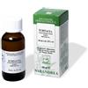SARANDREA MARCO &C. Srl Sarandrea Echinacea Angustifolia Gocce 100 ml