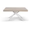 Tavolo CARRARA in legno, finitura olmo perla e base in metallo verniciato bianco, allungabile 140×90 cm - 220×90 cm