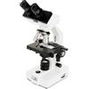 Celestron Microscopio Labs - CB2000CF (40x a 2000x)