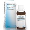 HEEL LYMPHOMYOSOT GOCCE 30 ML