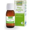 Boiron Pinus Montana Macerato Glicerico 60ml