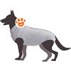 Camon Dog Tutina Post Operatoria - 30 cm