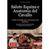 tredition GmbH Salute Equina e Anatomia del Cavallo: Guida Completa per il Benessere del Destriero: Manuale pratico di anatomia, medicina naturale e fisioterapia per ... cavallo, dall'alimentazione alla prevenzione
