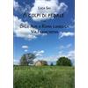 Luca Giai A colpi di pedale: Dalle Alpi a Roma lungo la Via Francigena