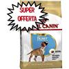 ROYAL CANIN CANE BOXER PUPPY 12 KG