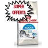 ROYAL CANIN GATTO ADULTO INDOOR 10 KG