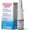 Biotrading SPRAY NASALE GRINSOL 30 ML