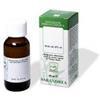 SARANDREA MARCO &C. Srl Sarandrea Secale Cereale Integratore alimentare 60 ml