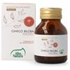 Alta Natura Terranata - Monoconcentrato Premium Ginkgo Biloba, 100 Compresse