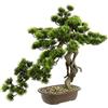 Flair Flower Bonsai - Albero artificiale in ciotola, per bonsai artificiale, pianta artificiale giapponese, pianta verde, albero decorativo come vero, grande decorazione per piante, ciotola per bonsai, alberi