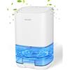 Birnetek ® 1L Deumidificatore Casa, Spegnimento Automatico e Luce LED Colorata, deumidificatore portatile Ultra Silenzioso, Per Max 30㎡, Deumidificatore per Camera da Letto e Armadio-350ML/Giorno