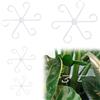 Gosknor 4pz Supporto per Steli, Supporti per Piante Supporti per Steli per Piante Rampicanti in Plastica Supporto stelo Piante Accessori per la Crescita per Piante (Trasparente)