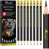 Drawlish Matite di schizzo Set di matite da disegno