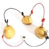 SEAFRONT Potato Battery Kit Educativo Batterie Experiment per Scienza, Kit Esperimenti Elettricità per Bambini, Batteria per Frutta Fai Sveglia per Patate Esperimenti di Elettricità per Patate Giocattoli