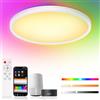 Birnetek® Plafoniera LED Soffitto 30W, Lampadario RGB Rotonda 2700K-6500K, Dimmerabile, Compatibile con Alexa, Google Home, Controllo APP, Telecomando, per Camere da letto, Soggiorni, Cucina