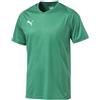 Puma Liga Jersey Core, Maglia Calcio Uomo, Verde (Pepper Green White), S