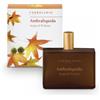 L'ERBOLARIO SB Srl L'Erbolario Ambraliquida Acqua di Profumo 100ml