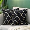 Hanrunsi Fodera per Cuscino In Velluto Nero E Oro 40x40 Federe Dore Cuscino per divano Cugini divano Decorativo Decorativo Moderno Morbido Cuscino per Soggiorno Camera Da Letto 2 Set