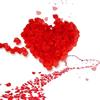YSTrillion 1500 Pezzi Petali di Rosa Artificiali,Petali di Rosa Finti per Matrimonio,Proposta di Matrimonio,San Valentine,Compleanno Decorazioni(rosso