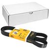 CONTITECH 6PK1230 Cinghia Poly-V