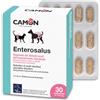 CAMON | Enterosalus Compresse, Alimento Complementare Dietetico per Cani e Gatti, Riduzione dei Disturbi Acuti dell'Assorbimento Intestinale, 30 cpr