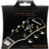 Ibanez IFAS6SL Corde