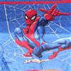 IL BOTTEGONE Trapuntino Singolo Primaverile Estivo Personaggi Cartoons Copriletto Trapuntato Leggero Bambini (Spiderman)