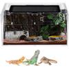 Dewocke Terrario per rettili in acrilico, 30 x 18 x 15 cm teca per rettili, Rettile Terrario kit, Rettile Breeding Box, terrario rettili per piccoli insetti per rettili insetti Geco leopardino Drago