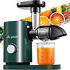 AAOBOSI Aobosi Estrattore Frutta e Verdura, Estrattore di Succo a Freddo con Motore Silenzioso e Funzione Inversa, senza BPA & Facile da Pulire & Spazzola（150 Watt/Verde）