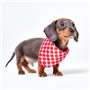 Red Nose Day Bandana per cani con motivo a pois S/M
