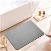 Dai Lufei Tappetino da bagno Diatomite - Tappeto antiscivolo in pietra assorbente ad asciugatura rapida, 60 x 39 cm (grigio chiaro)