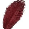 Sowder Piume di struzzo Sowder, 10 pezzi, 30-35 cm, decorazioni di nozze o per la casa Burgundy