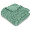 Homebliss Coperta Pile in Extra Morbido, Coperta Matrimoniale Flanella Certificato Oeko-TEX®, Coperta Divano, Plaid Letto, Coperta Foulard, Copriletto, Copridivano (230 x 270 cm,Verde Acqua)