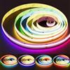 PAUTIX Striscia LED RGB Smart IC COB 5m, 24V Pixel RGB LED Adressabili con Cambio Colore, Luce Multicolore Flessibile per Progetti di Illuminazione Domestica DIY (Controller e Adattatore Disponibili