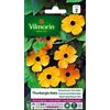 Vilmorin 5809542 Pianta rampicante, Giallo, 90 x 2 x 160 cm