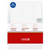 Brunnen - Ricarica di fogli A4 a righe con bordo, 70 g/mq, 4 fori