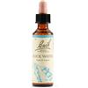 Schwabe Pharma Italia Srl Fiori di Bach N. 27 Rock Water flacone da 20ml